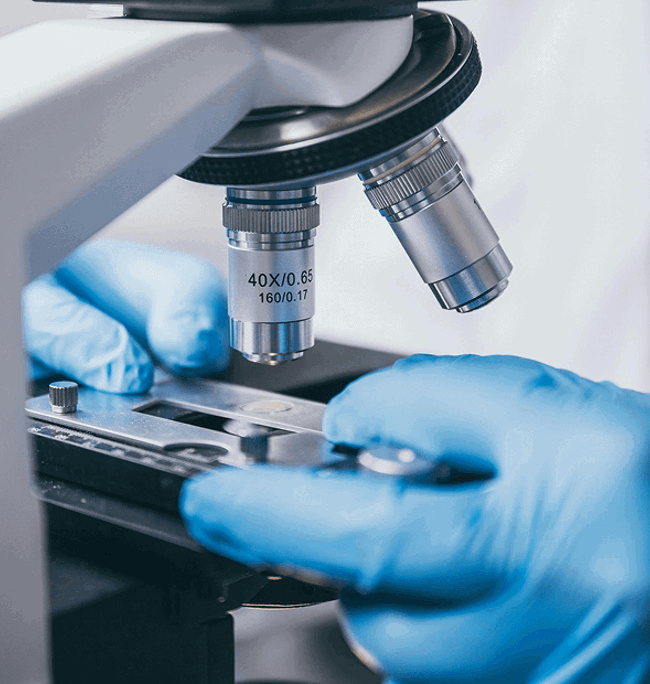 Health & Social Services